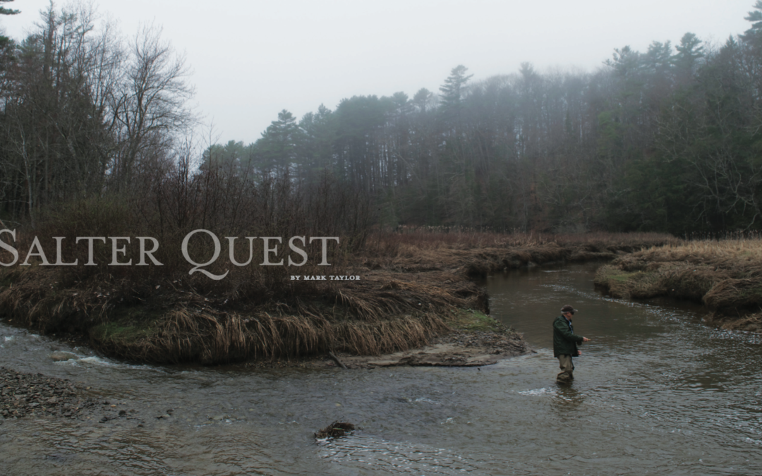 TROUT magazine features CCRO streams (and their fish!)